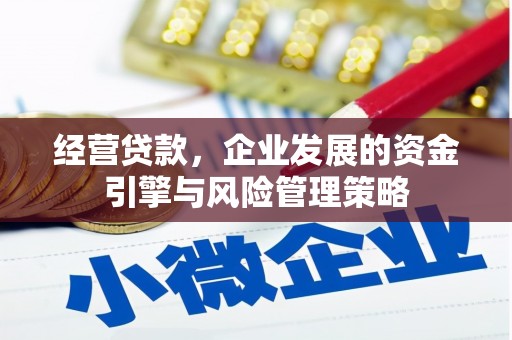 雁塔经营贷款，企业发展的资金引擎与风险管理策略