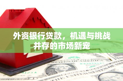 雁塔外资银行贷款，机遇与挑战并存的市场新宠