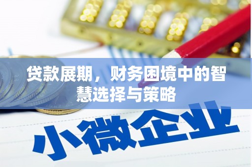 雁塔贷款展期，财务困境中的智慧选择与策略