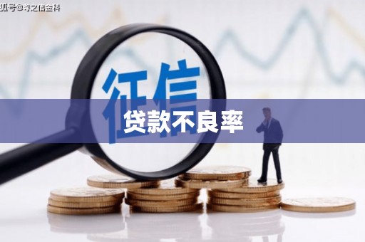 雁塔贷款不良率