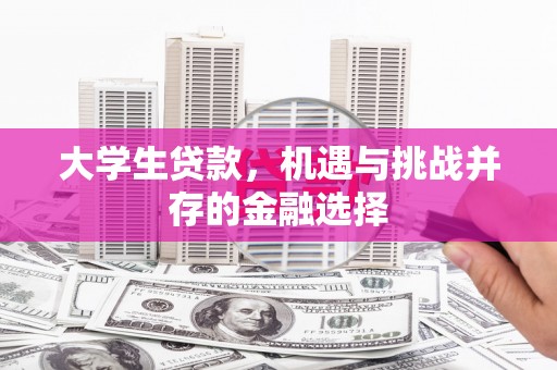 雁塔大学生贷款，机遇与挑战并存的金融选择