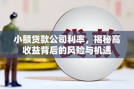 雁塔小额贷款公司利率，揭秘高收益背后的风险与机遇