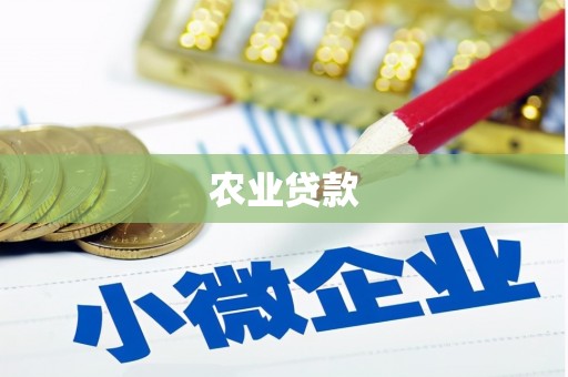 雁塔农业贷款