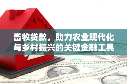 雁塔畜牧贷款，助力农业现代化与乡村振兴的关键金融工具