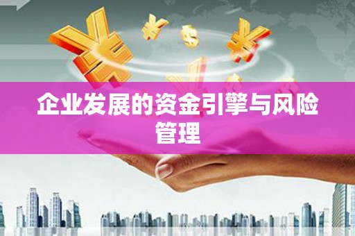 雁塔企业发展的资金引擎与风险管理