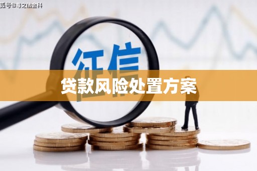 雁塔贷款风险处置方案