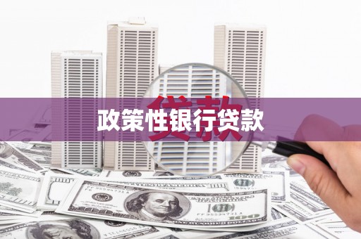 雁塔政策性银行贷款
