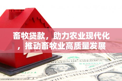 雁塔畜牧贷款，助力农业现代化，推动畜牧业高质量发展