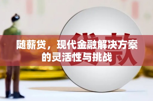 雁塔随薪贷，现代金融解决方案的灵活性与挑战