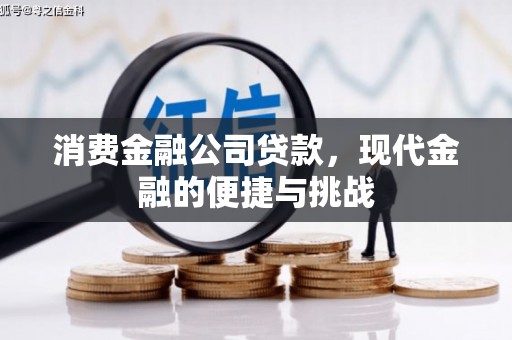 雁塔消费金融公司贷款，现代金融的便捷与挑战