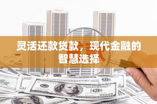 雁塔灵活还款贷款，现代金融的智慧选择