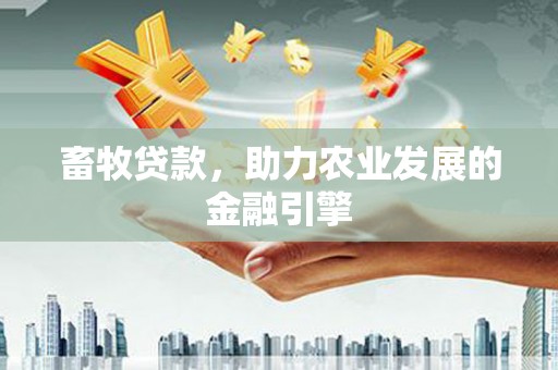 雁塔畜牧贷款，助力农业发展的金融引擎