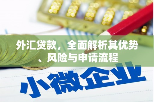 雁塔外汇贷款，全面解析其优势、风险与申请流程