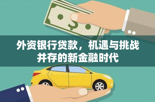 雁塔外资银行贷款，机遇与挑战并存的新金融时代
