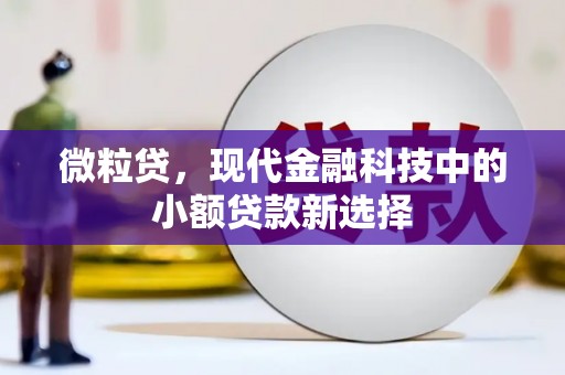 雁塔微粒贷，现代金融科技中的小额贷款新选择