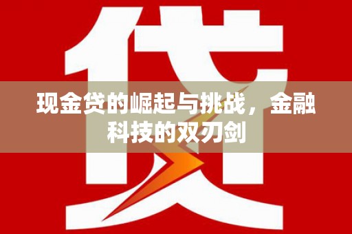 雁塔现金贷的崛起与挑战，金融科技的双刃剑