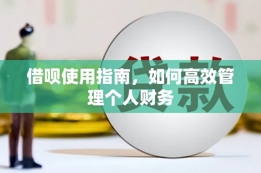 雁塔借呗使用指南，如何高效管理个人财务