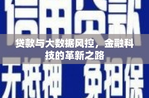 雁塔贷款与大数据风控，金融科技的革新之路