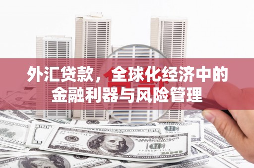 雁塔外汇贷款，全球化经济中的金融利器与风险管理