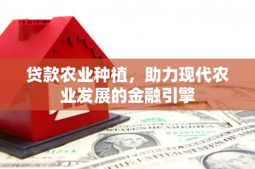 雁塔贷款农业种植，助力现代农业发展的金融引擎