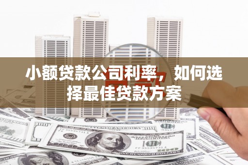 雁塔小额贷款公司利率，如何选择最佳贷款方案