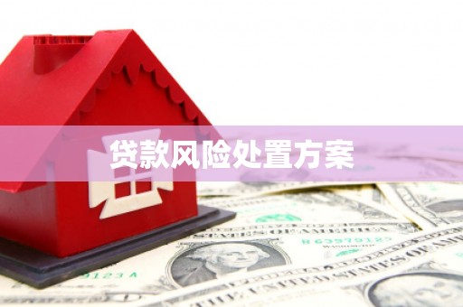 雁塔贷款风险处置方案