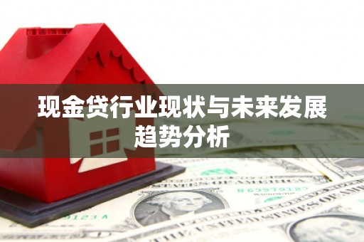 雁塔现金贷行业现状与未来发展趋势分析