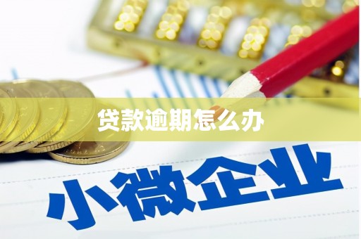 雁塔贷款逾期怎么办