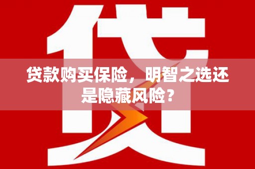 雁塔贷款购买保险，明智之选还是隐藏风险？