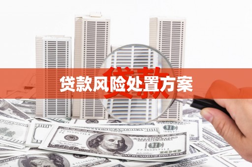 雁塔贷款风险处置方案