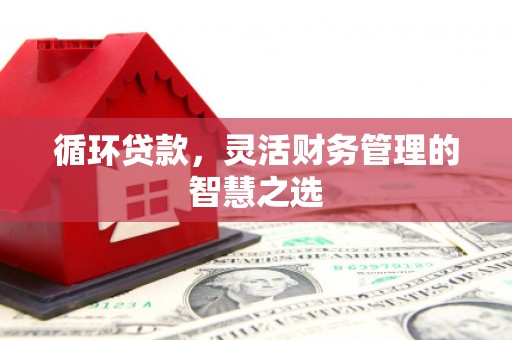 雁塔循环贷款，灵活财务管理的智慧之选