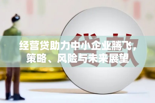 雁塔经营贷助力中小企业腾飞，策略、风险与未来展望