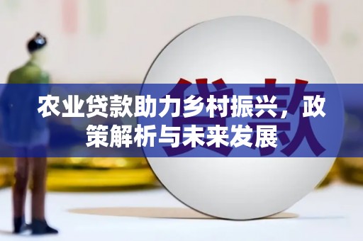 雁塔农业贷款助力乡村振兴，政策解析与未来发展