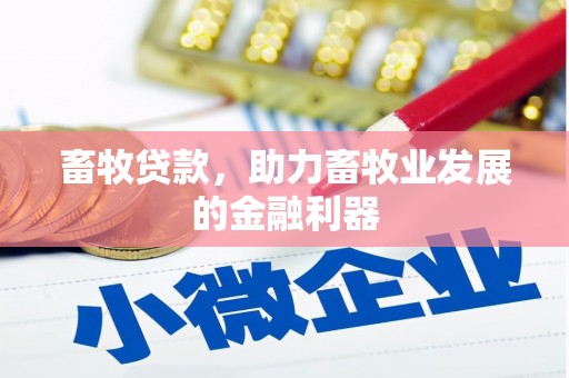 雁塔畜牧贷款，助力畜牧业发展的金融利器