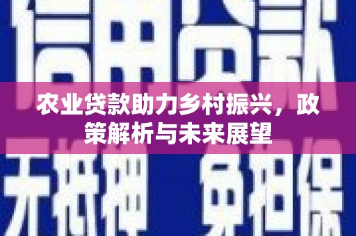 雁塔农业贷款助力乡村振兴，政策解析与未来展望