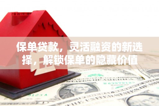 雁塔保单贷款，灵活融资的新选择，解锁保单的隐藏价值