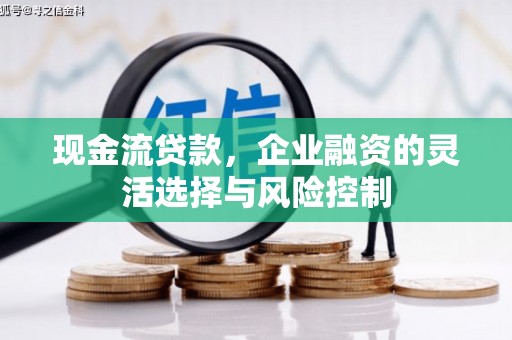 雁塔现金流贷款，企业融资的灵活选择与风险控制