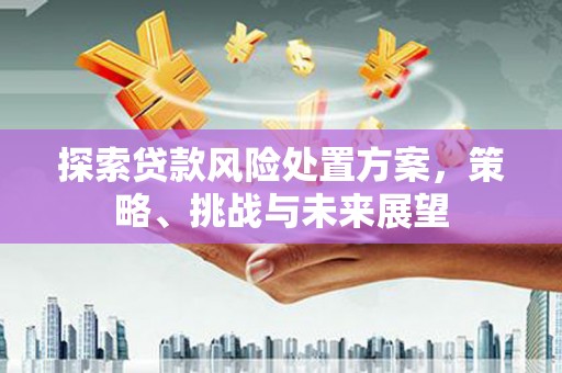 雁塔探索贷款风险处置方案，策略、挑战与未来展望