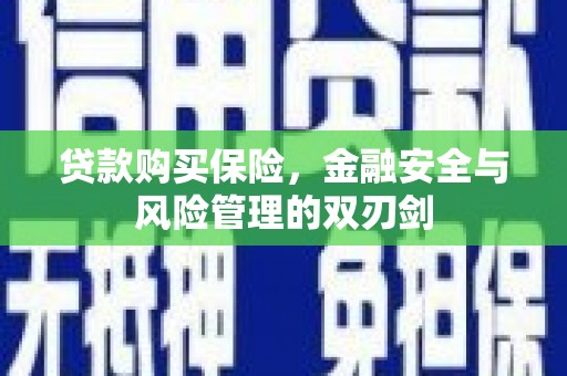 雁塔贷款购买保险，金融安全与风险管理的双刃剑