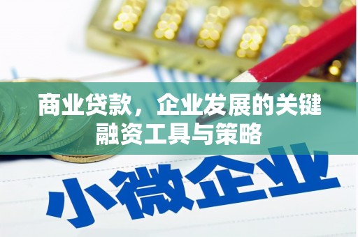 雁塔商业贷款，企业发展的关键融资工具与策略