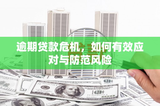 雁塔逾期贷款危机，如何有效应对与防范风险