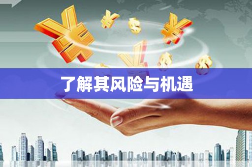 雁塔了解其风险与机遇