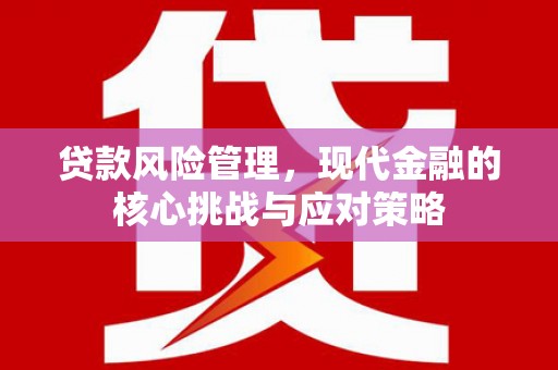 雁塔贷款风险管理，现代金融的核心挑战与应对策略