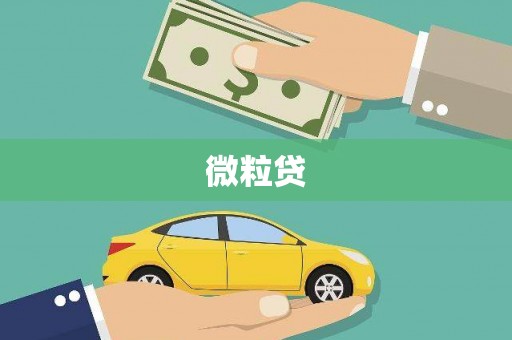 雁塔微粒贷