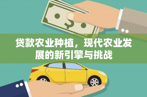 雁塔贷款农业种植，现代农业发展的新引擎与挑战