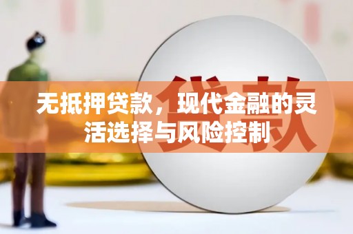雁塔无抵押贷款，现代金融的灵活选择与风险控制