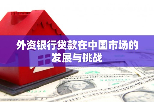 雁塔外资银行贷款在中国市场的发展与挑战