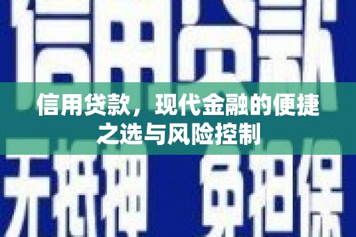 雁塔信用贷款，现代金融的便捷之选与风险控制