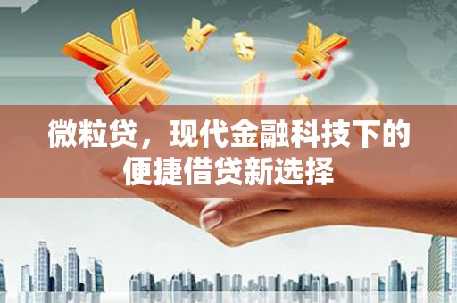 雁塔微粒贷，现代金融科技下的便捷借贷新选择