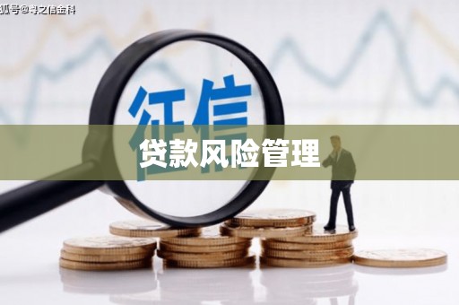 雁塔贷款风险管理